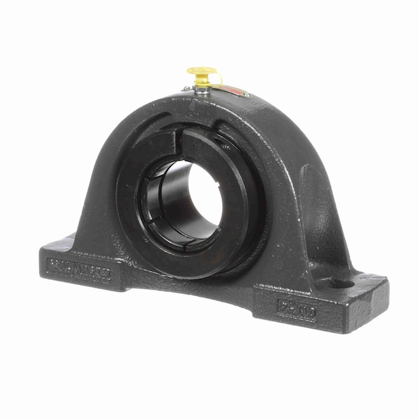 Mounted Cast Iron Two Bolt Pillow Block Ball Bearing, NP-32T